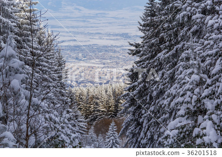 View of the city of Sofia from the mountain  36201518