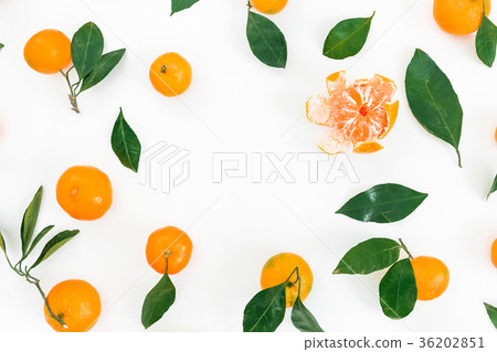 Frame made of fresh mandarin citrus and leaves Frame made of fresh mandarin citrus and leaves 36202851