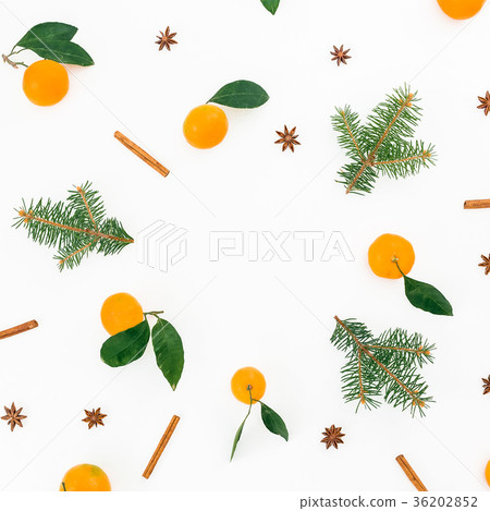 Christmas frame made of citrus with leaves and fir Christmas frame made of citrus with leaves and fir 36202852
