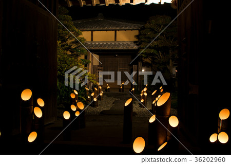 Takeda Takeaku 36202960