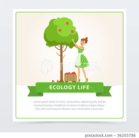 Flat woman character collecting the harvest from 36203786