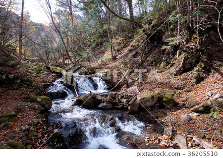 Nikko City Kawasu Yuzawa Nikko City Kawasu Yuzawa 36205510