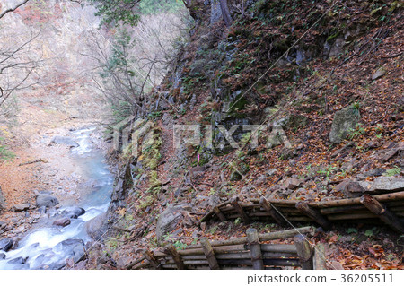 日光市川津湯澤 日光市川津湯澤 36205511