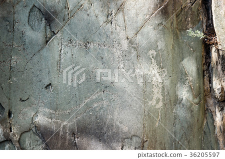 Ancient petroglyphs rock carvings on stones. Altai Ancient petroglyphs rock carvings on stones. Altai 36205597