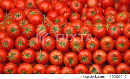 Tomatoes 36206642