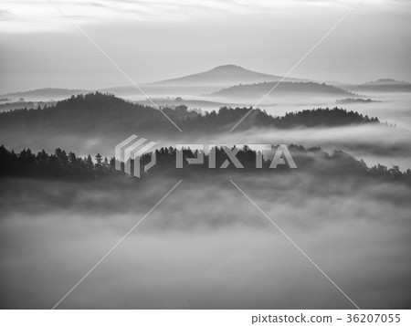 Dreamy landscape lost in thick fog. Fantastic Dreamy landscape lost in thick fog. Fantastic 36207055