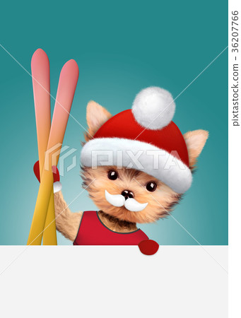 Funny Dog wearing hat. Christmas concept 36207766