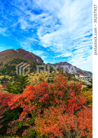 Unzen view of the autumn leaves of Mita Nitada 36207937