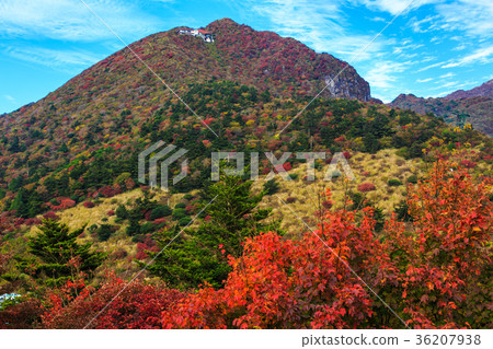 Unzen view of the autumn leaves of Mita Nitada Unzen view of the autumn leaves of Mita Nitada 36207938