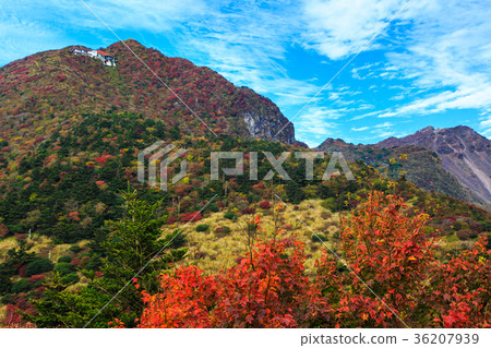 Unzen view of the autumn leaves of Mita Nitada Unzen view of the autumn leaves of Mita Nitada 36207939