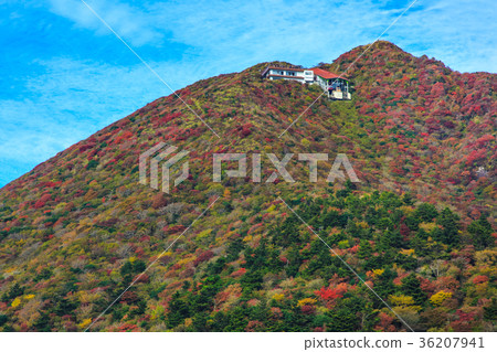 Unzen view of the autumn leaves of Mita Nitada Unzen view of the autumn leaves of Mita Nitada 36207941