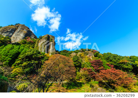 男嬰武雄市佐賀縣的秋葉 36208299