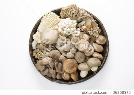 什錦蘑菇蘑菇 36208573