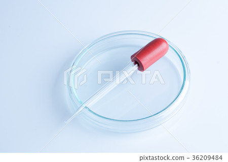 a petri dish aka petrie dish petri plate 36209484