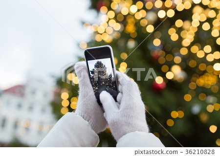 hands with smartphone photographing christmas tree hands with smartphone photographing christmas tree 36210828