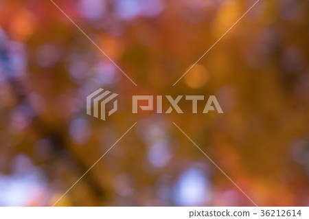 散景材料 36212614