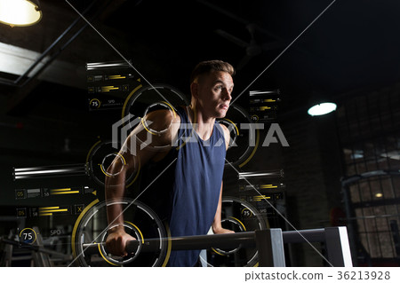 man doing triceps dip on parallel bars in gym man doing triceps dip on parallel bars in gym 36213928