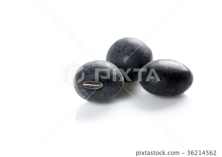 Tanba的黑豆 Tanba的黑豆 36214562