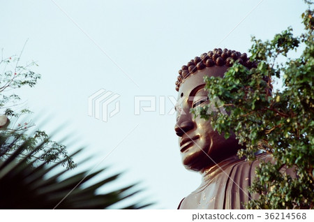 人的存在，自然觀察 36214568