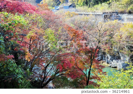 秋葉和Sonehido谷的口氣河 36214961