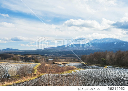 阿薩馬山和早冬的田野 36214962