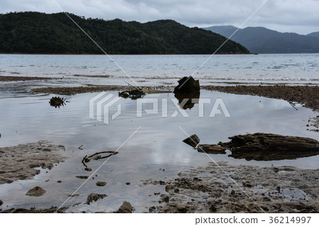The shore of the island The shore of the island 36214997