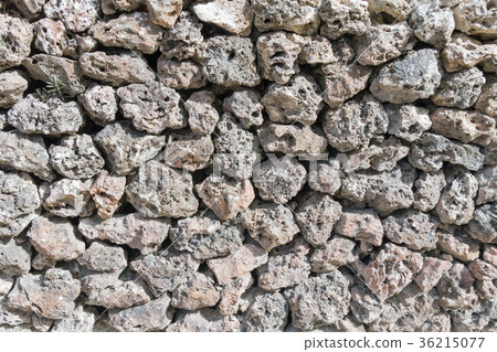 沖繩的石柵欄 36215077