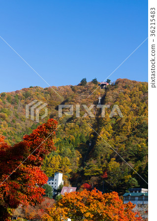 Lake Kawaguchi Kachi Kachi Ropeway Fall leaves Lake Kawaguchi Kachi Kachi Ropeway Fall leaves 36215483