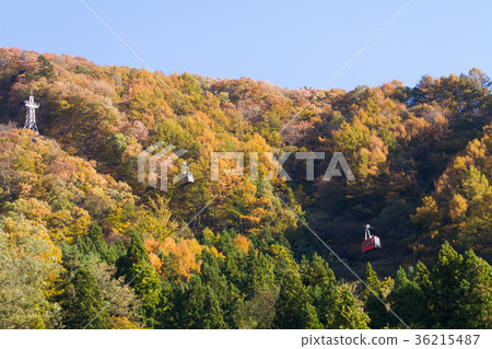 Lake Kawaguchi Kachi Kachi Ropeway Fall leaves 36215487