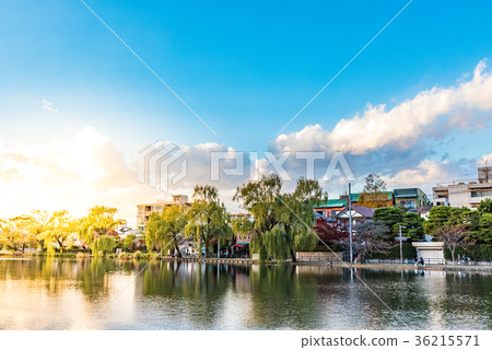 東京Ishigami公園風景 東京Ishigami公園風景 36215571