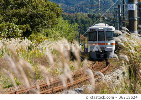 火車Susuki御殿場線[靜岡縣] 36215624