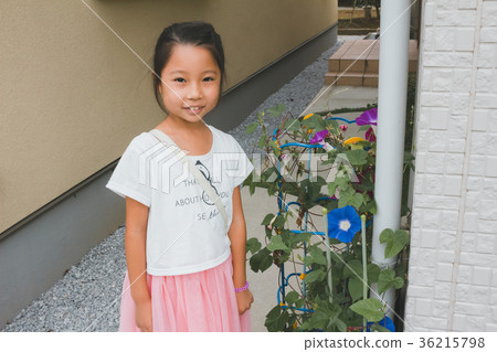 morning glory, younger, cultivation 36215798