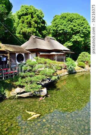 Okayama Korakuen / Yardikeken (Okayama City, Okayama Prefecture) Okayama Korakuen / Yardikeken (Okayama City, Okayama Prefecture) 36216375