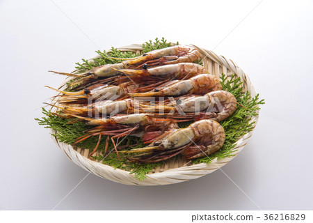 Button shrimp Button shrimp 36216829