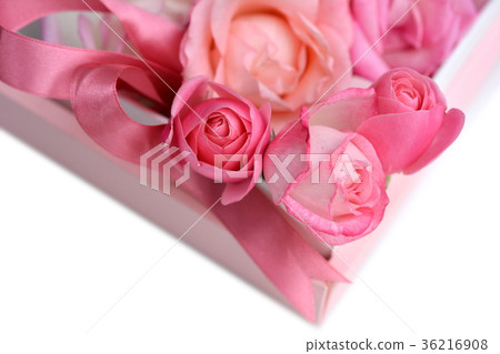 背景材料，粉紅玫瑰，禮物，禮物 36216908