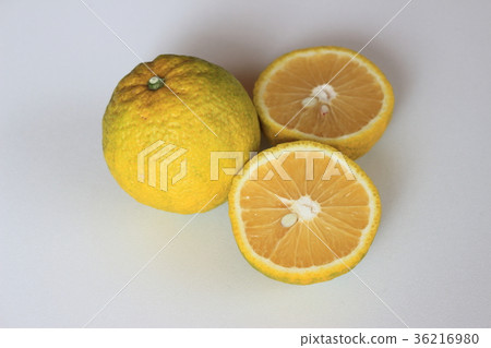 Jabala花粉熱 36216980