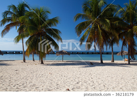 On the beach Playa Giron, Cuba. 36218179