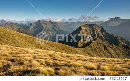 View from the Mount Luxmore, New Zealand View from the Mount Luxmore, New Zealand 36218517