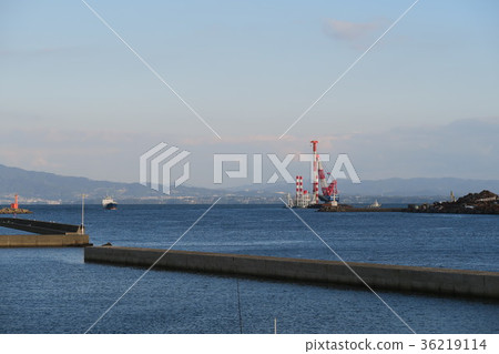 大分港 36219114