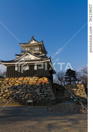 濱松城冬季[靜岡縣] 36219607