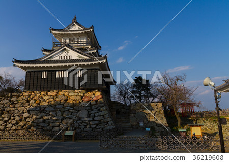 濱松城冬季[靜岡縣] 36219608