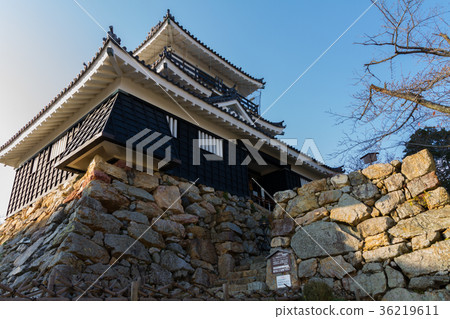 濱松城冬季[靜岡縣] 36219611