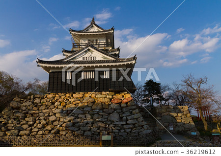 濱松城冬季[靜岡縣] 36219612