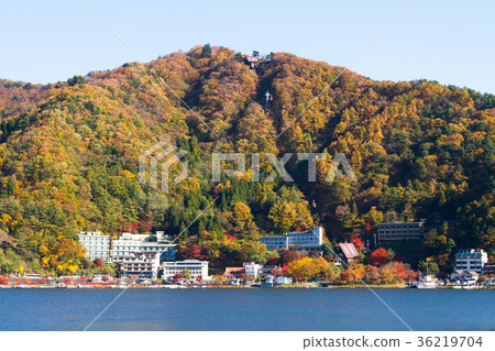 川口湖Kachi Kachi索道秋葉 川口湖Kachi Kachi索道秋葉 36219704