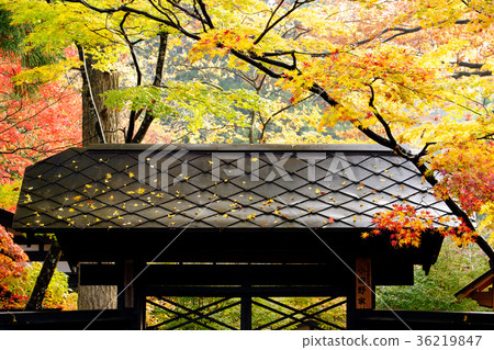 The autumn Kakunoda samurai house 36219847