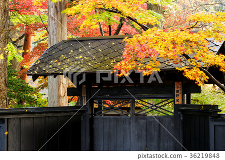The autumn Kakunoda samurai house 36219848
