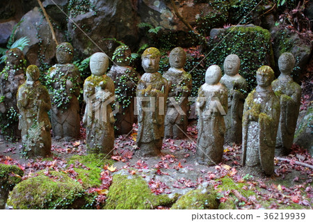 Jizou 03 Chayu Temple Isehara City, Kanagawa Prefecture Oyama Jizou 03 Chayu Temple Isehara City, Kanagawa Prefecture Oyama 36219939