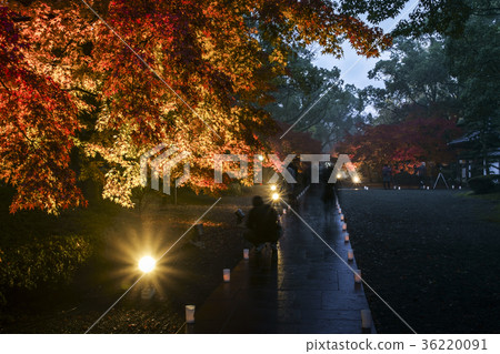 前Hosokawa Imperial House House秋葉的點亮 36220091