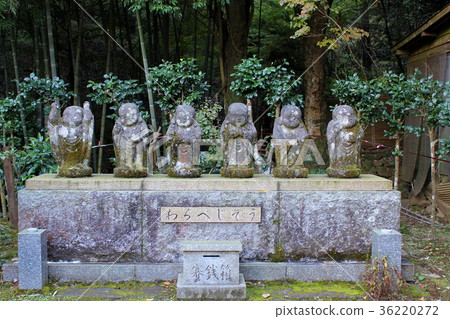 Warabe Jizo 01 Chayu Temple Isehara City, Kanagawa Prefecture Oyama 36220272