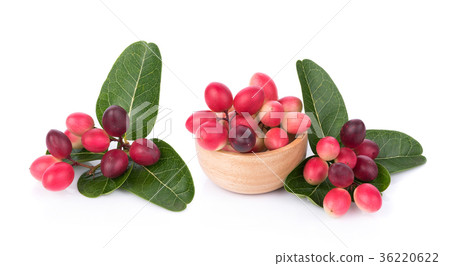 Carunda or Karonda on white background 36220622